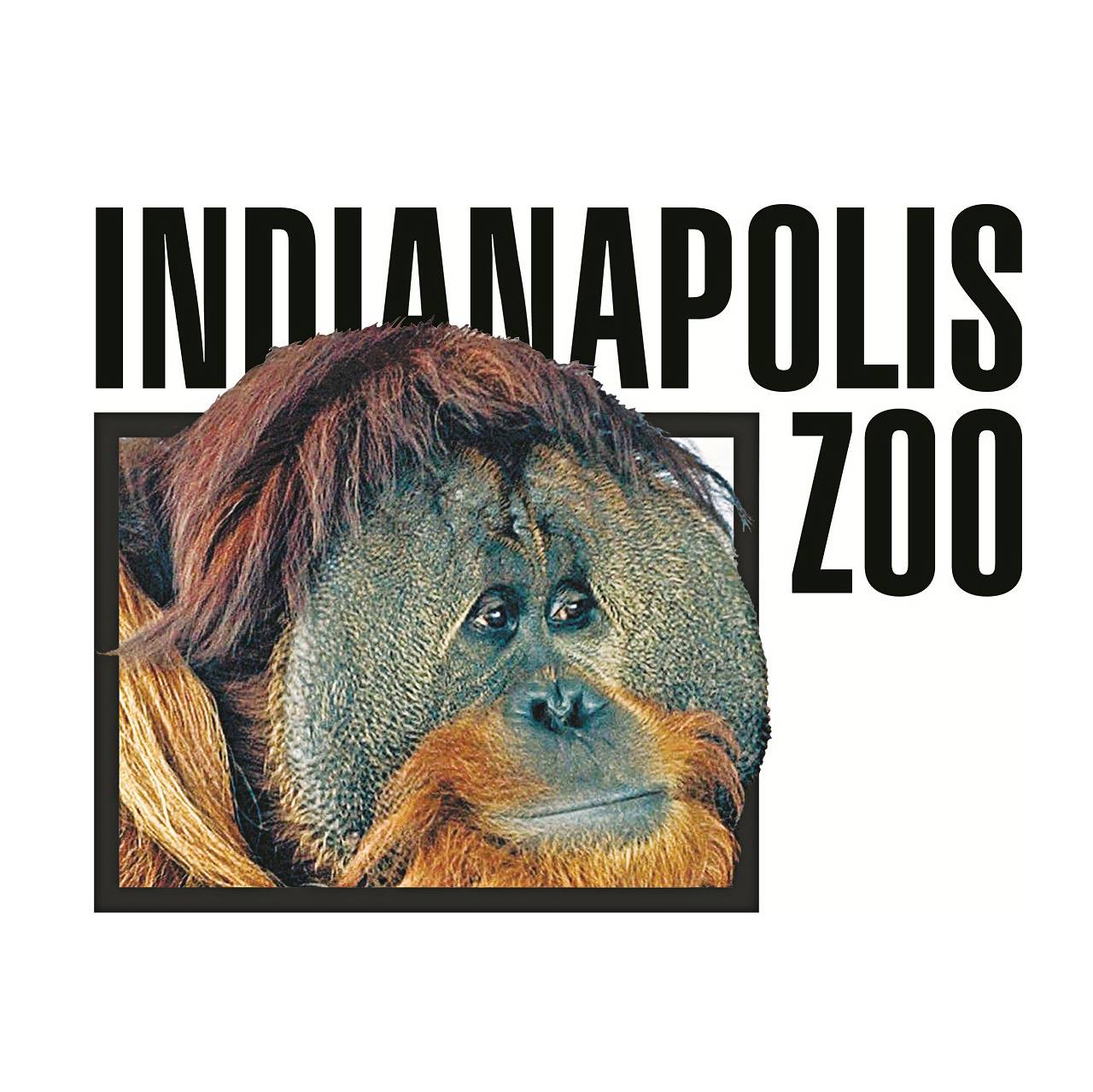 indyzoo.jpg